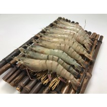 越南生凍草蝦